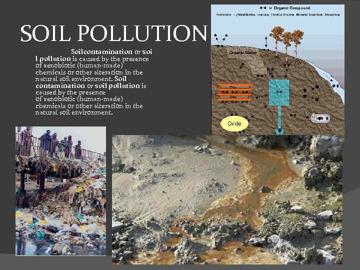 SOIL POLLUTION Soilcontamination or soi l pollution is caused by the presence of xenobiotic