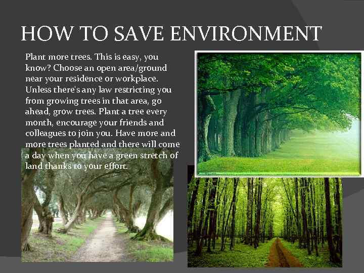 HOW TO SAVE ENVIRONMENT Plant more trees. This is easy, you know? Choose an