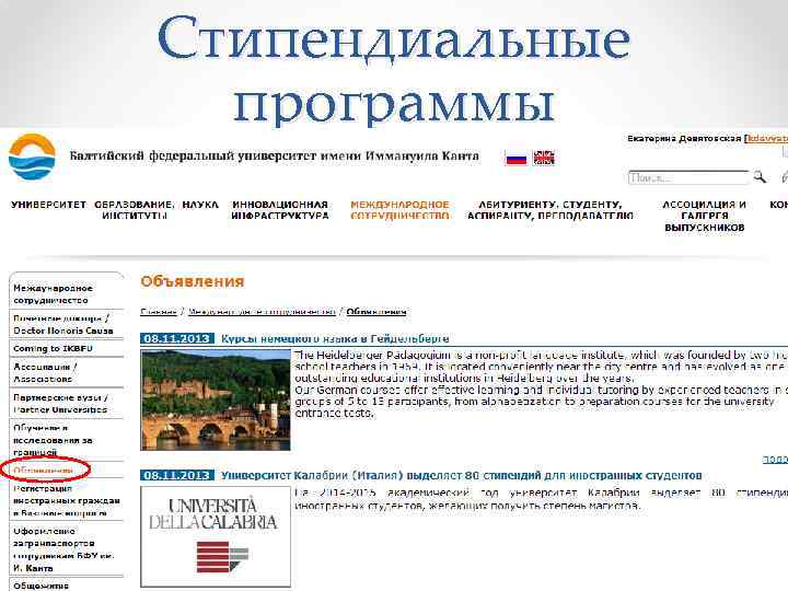 Стипендиальные программы 