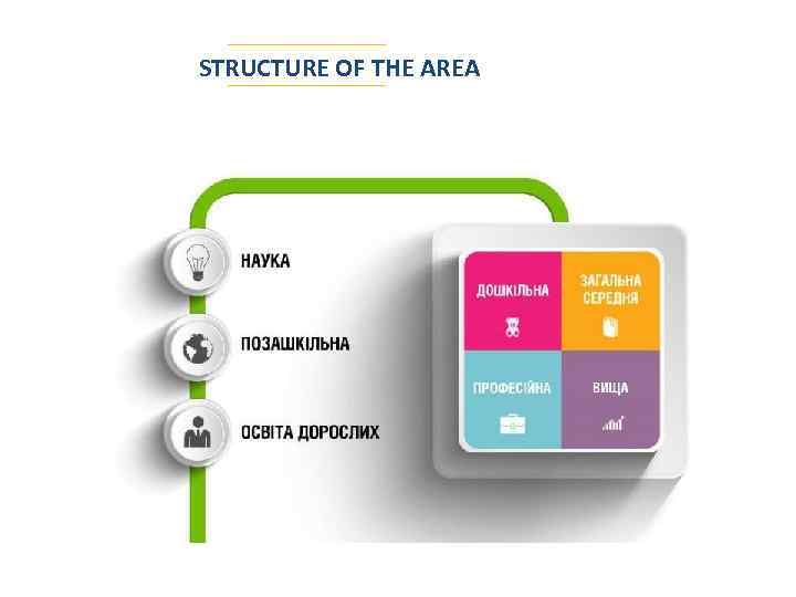 STRUCTURE OF THE AREA 