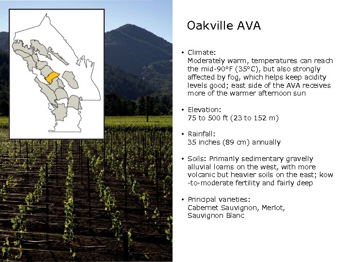 Oakville AVA • Climate: Moderately warm, temperatures can reach the mid-90°F (35°C), but also