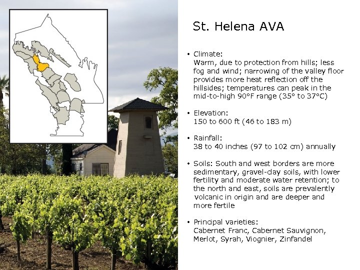 St. Helena AVA • Climate: Warm, due to protection from hills; less fog and