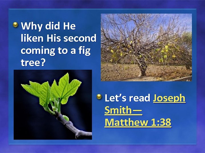 Why did He liken His second coming to a fig tree? Let’s read Joseph