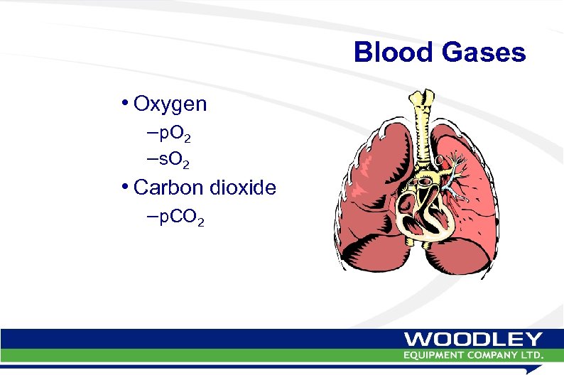 Blood Gases • Oxygen – p. O 2 – s. O 2 • Carbon