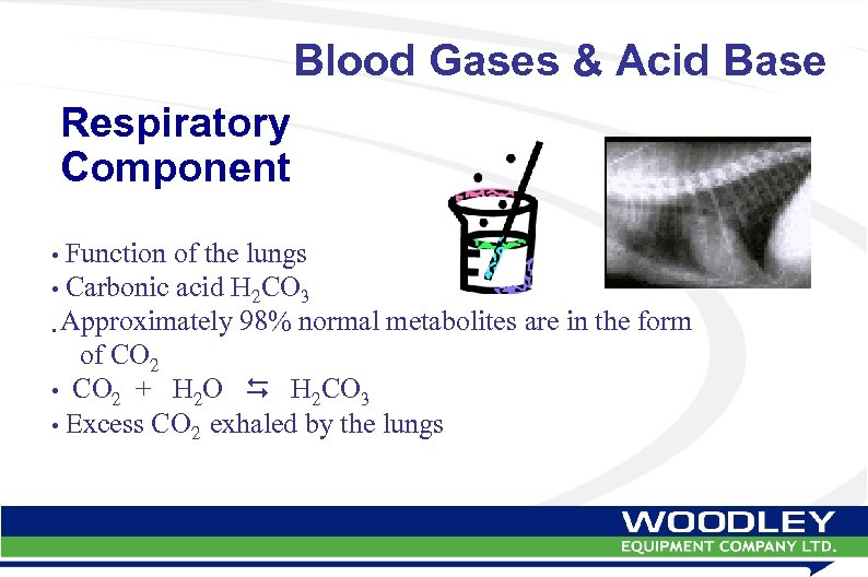 Blood Gases & Acid Base Respiratory Component • Function of the lungs • Carbonic