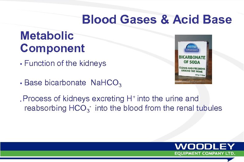 Blood Gases & Acid Base Metabolic Component • Function of the kidneys • Base