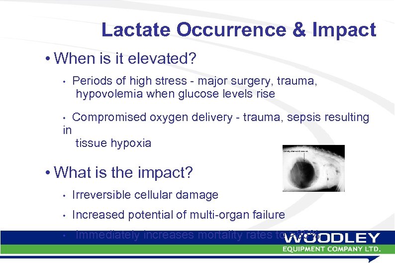 Lactate Occurrence & Impact • When is it elevated? • Periods of high stress