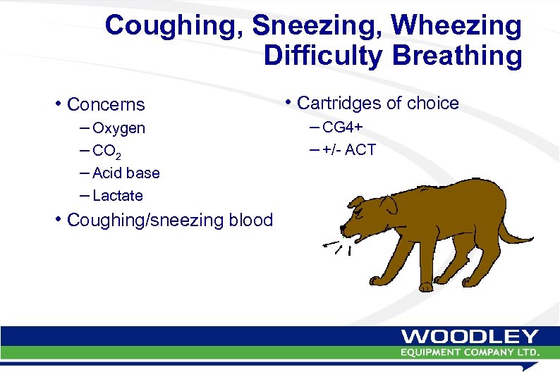Coughing, Sneezing, Wheezing Difficulty Breathing • Concerns – Oxygen – CO 2 – Acid