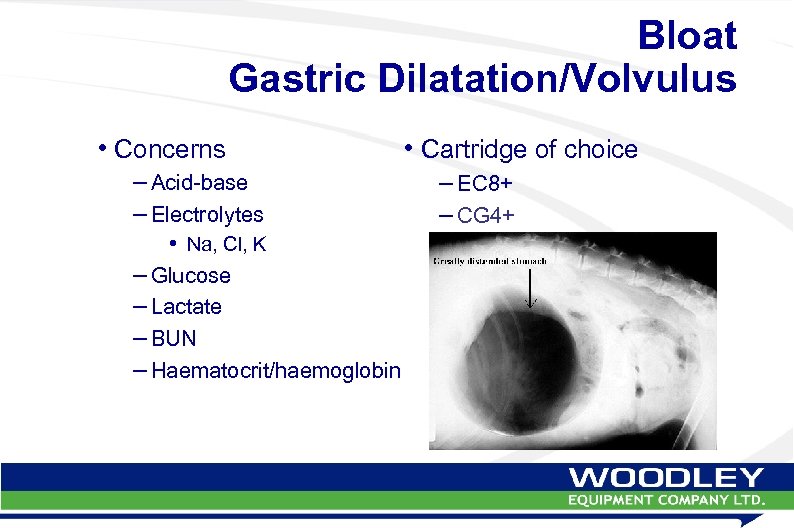 Bloat Gastric Dilatation/Volvulus • Concerns – Acid-base – Electrolytes • Na, Cl, K –