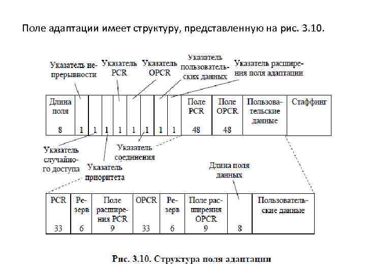 Поле адаптации имеет структуру, представленную на рис. 3. 10. 