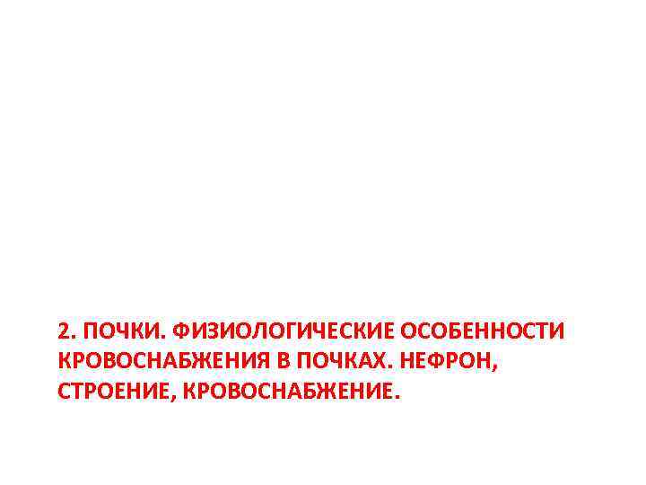 2. ПОЧКИ. ФИЗИОЛОГИЧЕСКИЕ ОСОБЕННОСТИ КРОВОСНАБЖЕНИЯ В ПОЧКАХ. НЕФРОН, СТРОЕНИЕ, КРОВОСНАБЖЕНИЕ. 