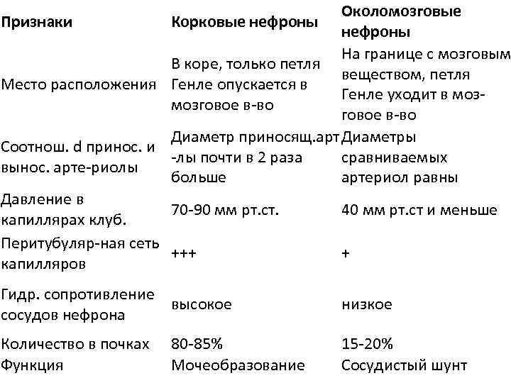 Околомозговые Признаки Корковые нефроны На границе с мозговым В коре, только петля веществом, петля