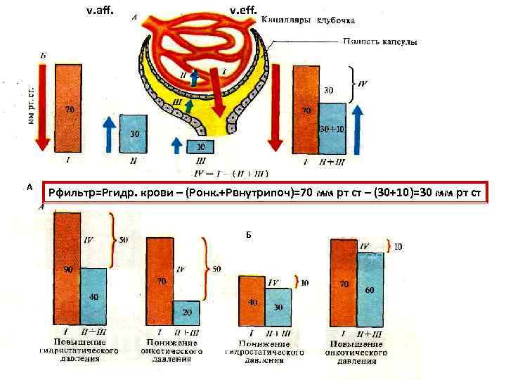 v. aff. А v. eff. Рфильтр=Ргидр. крови – (Ронк. +Рвнутрипоч)=70 мм рт ст –