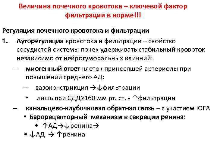 Величина почечного кровотока – ключевой фактор фильтрации в норме!!! Регуляция почечного кровотока и фильтрации