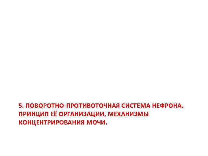 5. ПОВОРОТНО-ПРОТИВОТОЧНАЯ СИСТЕМА НЕФРОНА. ПРИНЦИП ЕЁ ОРГАНИЗАЦИИ, МЕХАНИЗМЫ КОНЦЕНТРИРОВАНИЯ МОЧИ. 