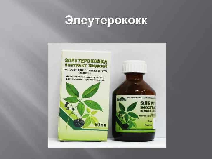 Элеутерококк 