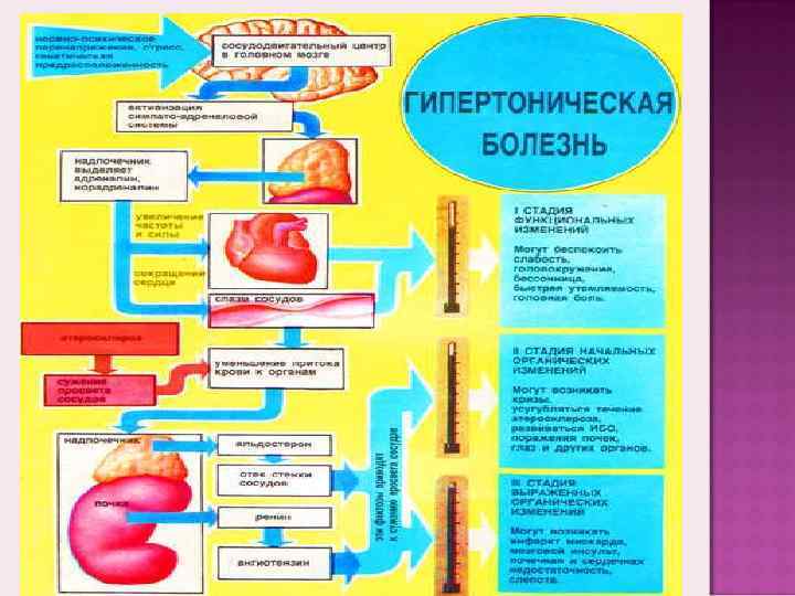 Гипотензия карта смп