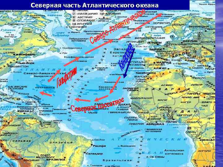 Северная часть Атлантического океана 