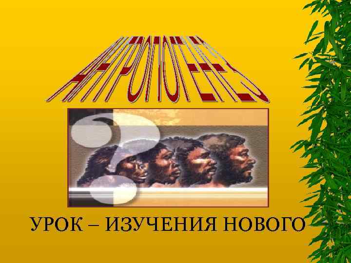 УРОК – ИЗУЧЕНИЯ НОВОГО 