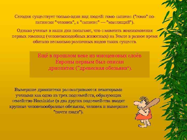 Сегодня существует только один вид людей: гомо сапиенс (