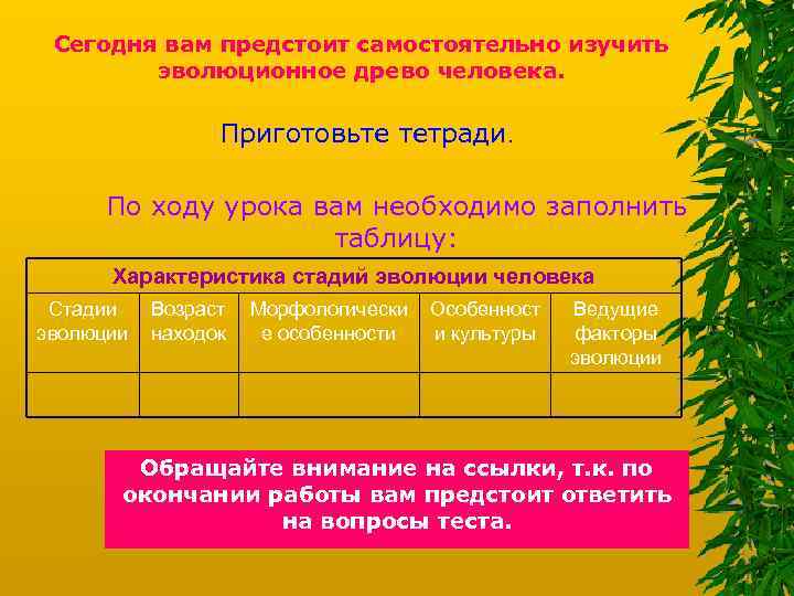 Сегодня вам предстоит самостоятельно изучить эволюционное древо человека. Приготовьте тетради. По ходу урока вам