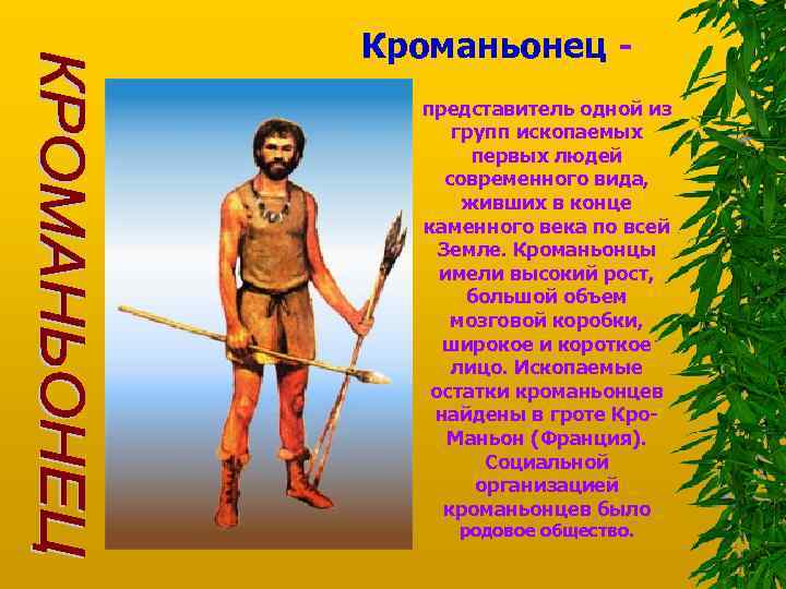 Кроманьонец представитель одной из групп ископаемых первых людей современного вида, живших в конце каменного