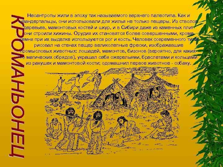 Неоантропы жили в эпоху так называемого верхнего палеотипа. Как и неандертальцы, они использовали для