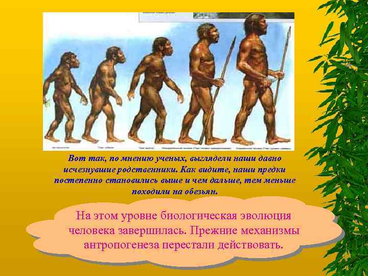 Вот так, по мнению ученых, выглядели наши давно исчезнувшие родственники. Как видите, наши предки