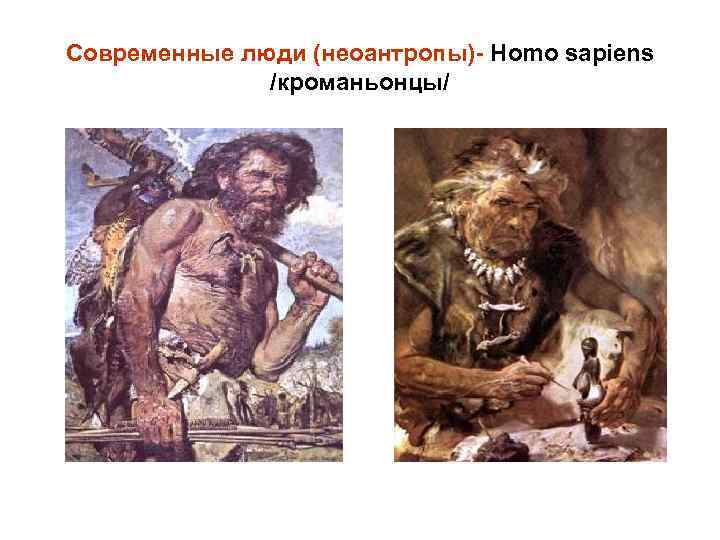Современные люди (неоантропы)- Homo sapiens /кроманьонцы/ 