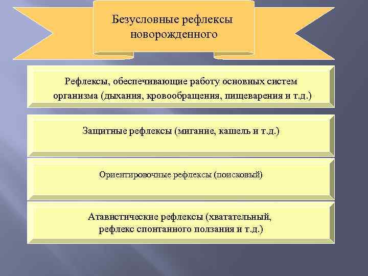 Безусловные рефлексы новорожденного Рефлексы, обеспечивающие работу основных систем организма (дыхания, кровообращения, пищеварения и т.