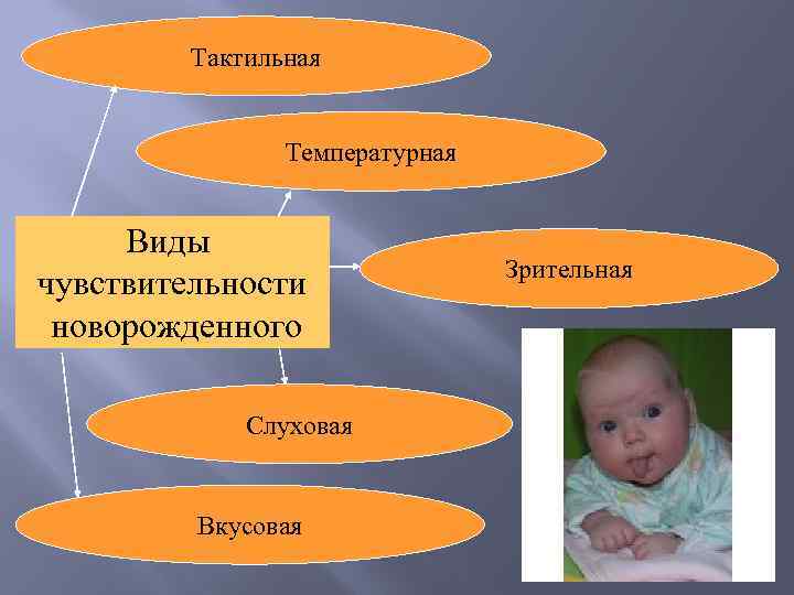 Тактильная Температурная Виды чувствительности новорожденного Слуховая Вкусовая Зрительная 