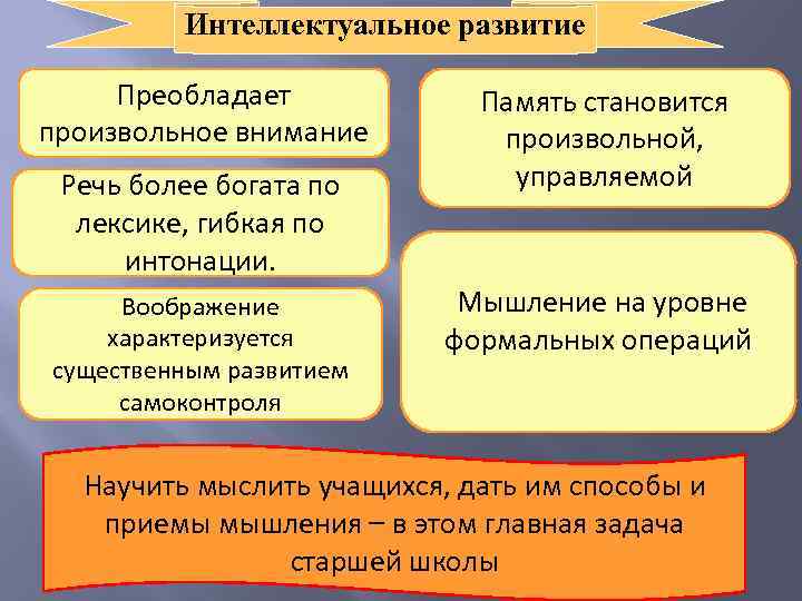 Интеллектуальное развитие Преобладает произвольное внимание Речь более богата по лексике, гибкая по интонации. Воображение