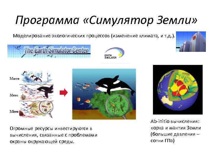 Процесс экологического изменения