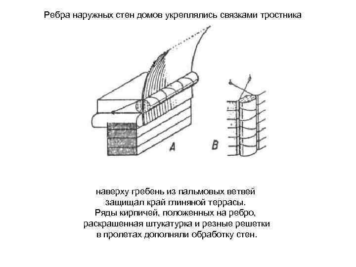 Ребра наружных стен домов укреплялись связками тростника наверху гребень из пальмовых ветвей защищал край