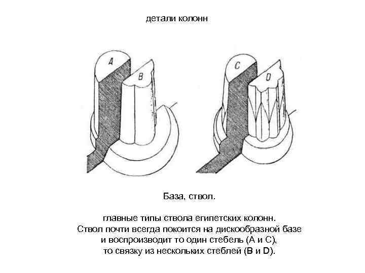 детали колонн База, ствол. главные типы ствола египетских колонн. Ствол почти всегда покоится на