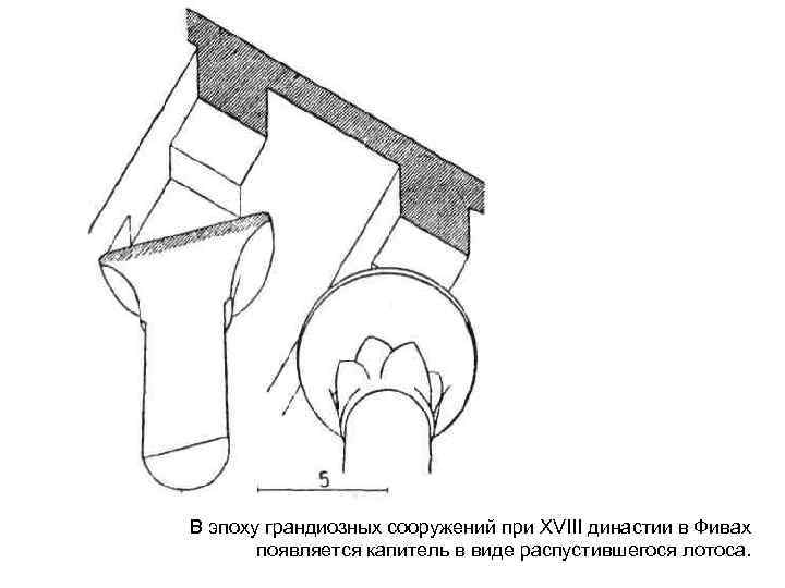 В эпоху грандиозных сооружений при XVIII династии в Фивах появляется капитель в виде распустившегося