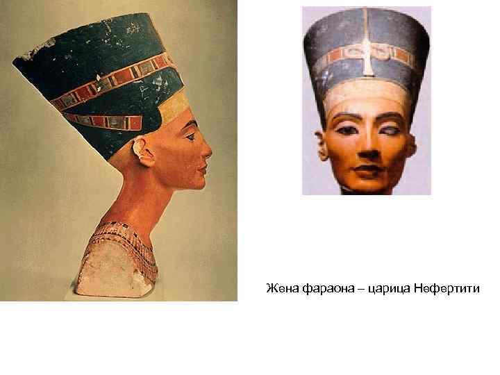 Сколько лет жене фараона. Асият жена фараона. Нефертити форма черепа.