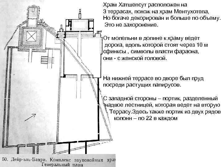 Храм Хатшепсут расположен на 3 террасах, похож на храм Ментухотепа, Но богаче декорирован и