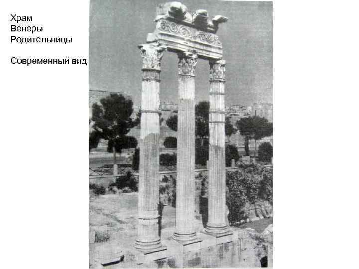 Храм Венеры Родительницы Современный вид 