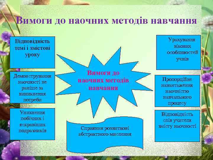Вимоги до наочних методів навчання Урахування вікових особливостей учнів Відповідність темі і змістові уроку