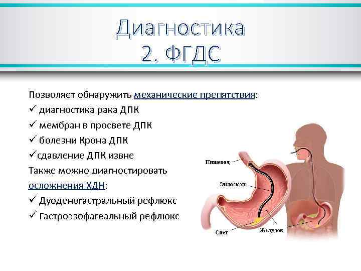 Фгдс пить. Дуоденостаз. Памятка по ФГДС. Диагностическая значимость ФГДС. ФГДС позволяет выявить.