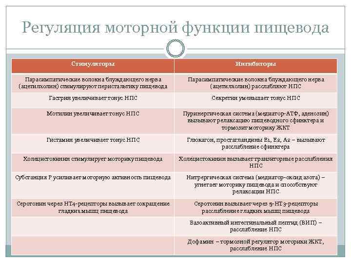 Регуляция моторной функции пищевода Стимуляторы Ингибиторы Парасимпатические волокна блуждающего нерва (ацетилхолин) стимулируют перистальтику пищевода