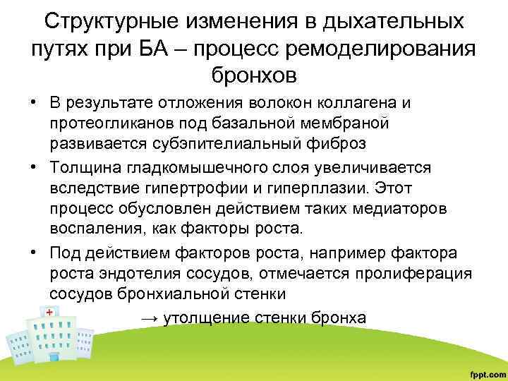 Структурные изменения в дыхательных путях при БА – процесс ремоделирования бронхов • В результате