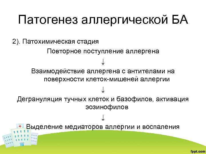 Патогенез аллергической БА 2). Патохимическая стадия Повторное поступление аллергена ↓ Взаимодействие аллергена с антителами