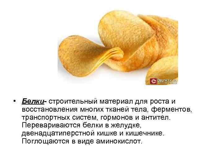  • Белки- строительный материал для роста и восстановления многих тканей тела, ферментов, транспортных