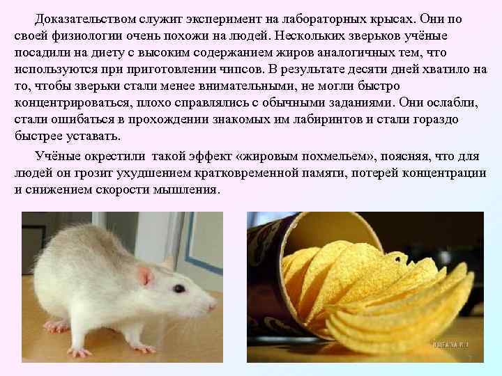 Доказательством служит эксперимент на лабораторных крысах. Они по своей физиологии очень похожи на людей.