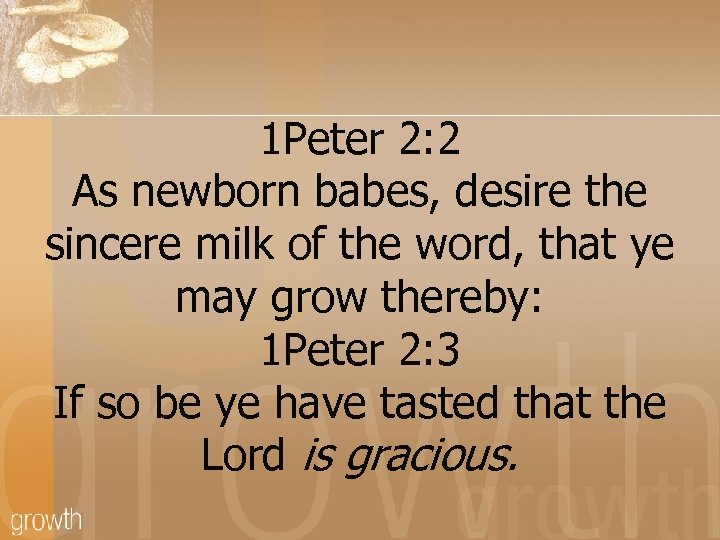 1 Peter 2: 2 As newborn babes, desire the sincere milk of the word,