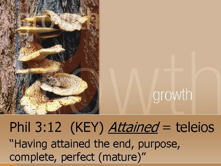 Phil 3: 12 (KEY) Attained = teleios “Having attained the end, purpose, complete, perfect