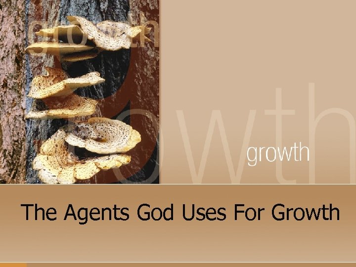 The Agents God Uses For Growth 