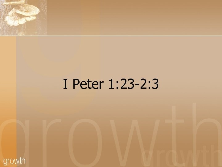 I Peter 1: 23 -2: 3 